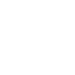 SEO expert Bangalore logo